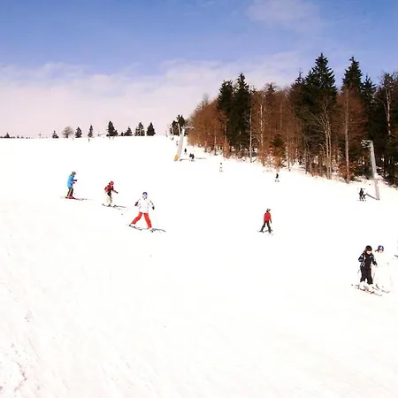 Almberg מלון פסאו