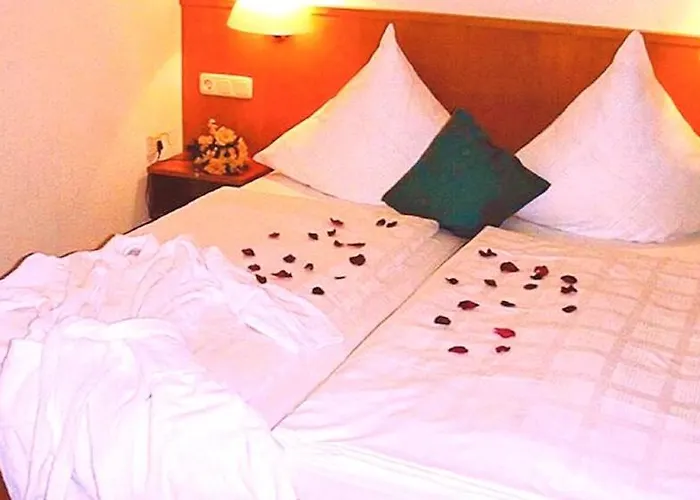 Almberg 3* 파사우